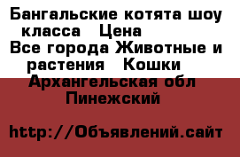 Бангальские котята шоу класса › Цена ­ 25 000 - Все города Животные и растения » Кошки   . Архангельская обл.,Пинежский 